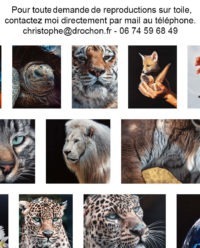 Reproduction sur toile