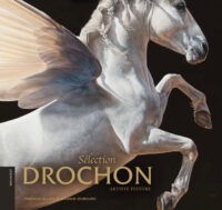 "Sélection", Drochon - Artiste peintre