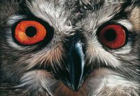 Le Maître des Arcanes (Grand-Duc)