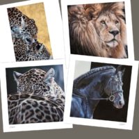 Ensemble des 4 Tirages