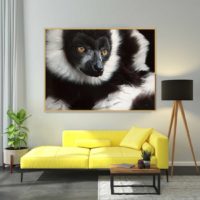 Exemple de Reproduction sur Toile