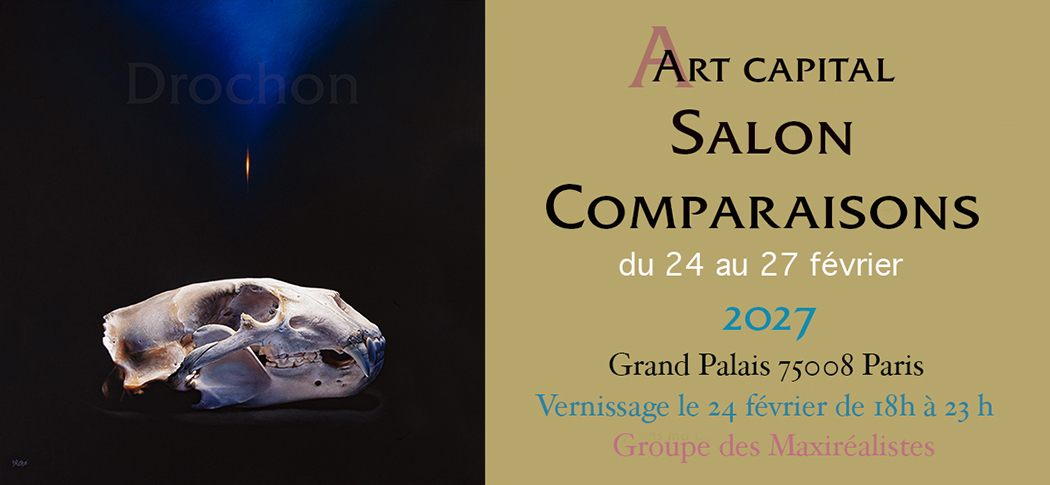 Art Capital 2027 Salon Comparaisons - Groupe des Maxiréalistes